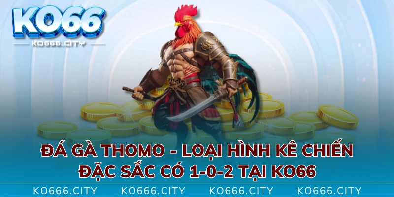 Đá Gà Thomo - Loại Hình Kê Chiến Đặc Sắc Có 1-0-2 Tại KO66