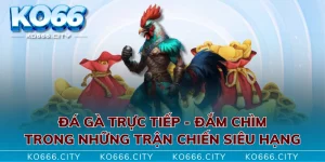 Đá Gà Trực Tiếp - Đắm Chìm Trong Những Trận Chiến Siêu Hạng