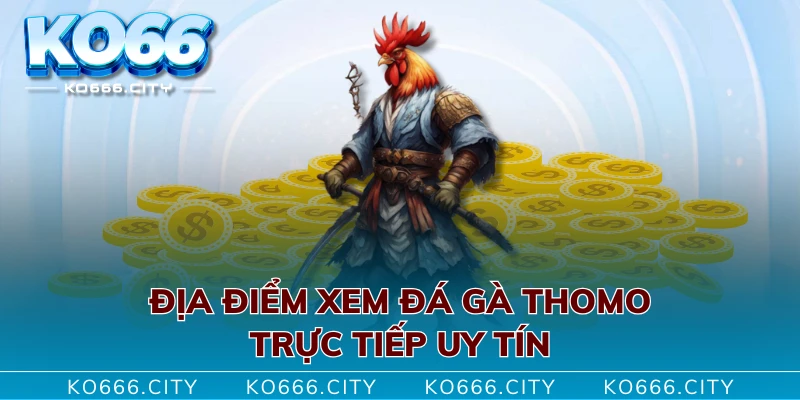 Địa điểm xem đá gà thomo trực tiếp uy tín