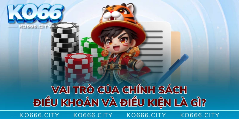 Vai trò của chính sách điều khoản và điều kiện là gì?